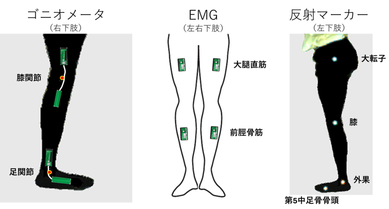 スクリーンショット 2026-02-12 095727