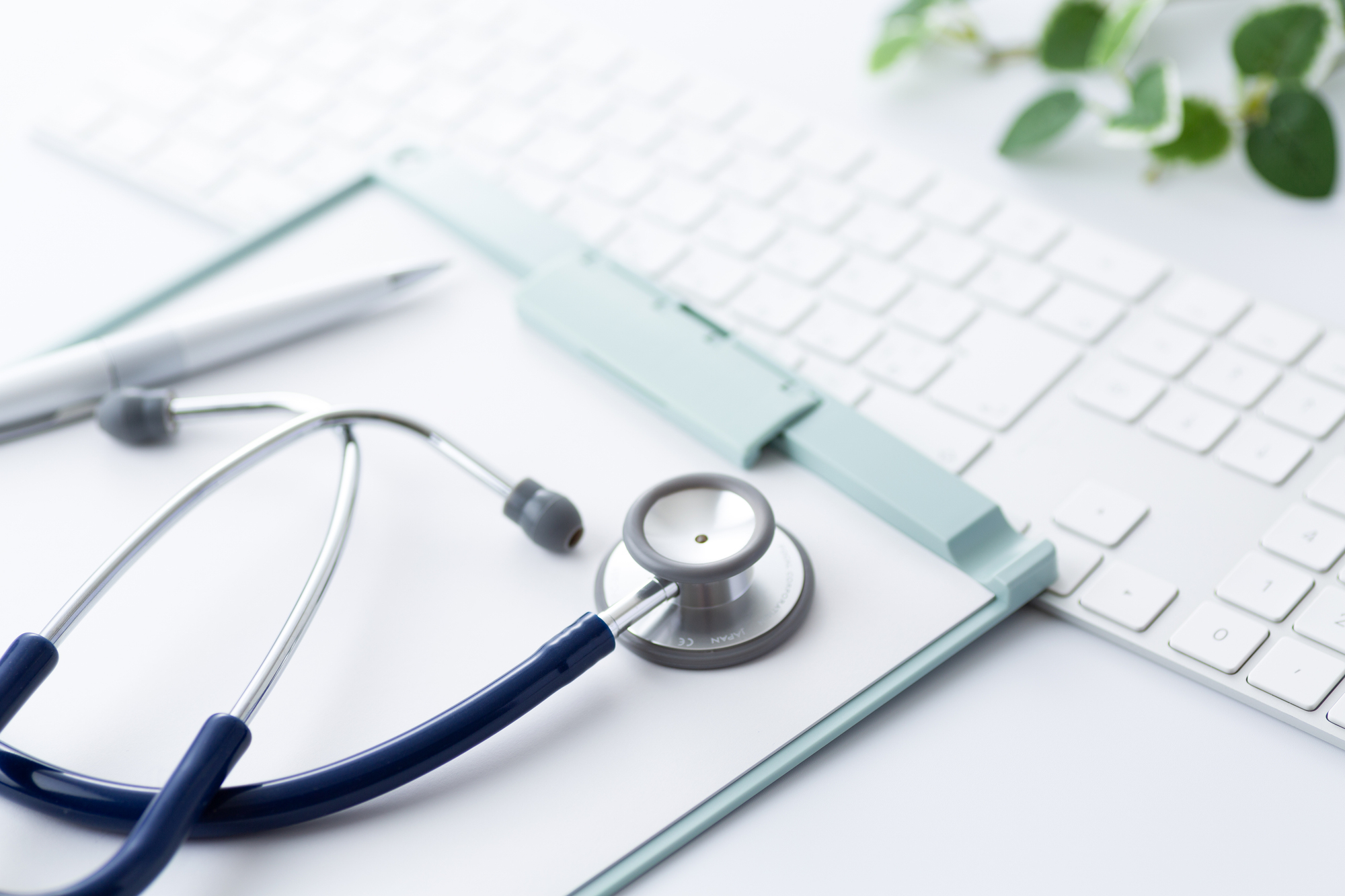 heart-profile_point02