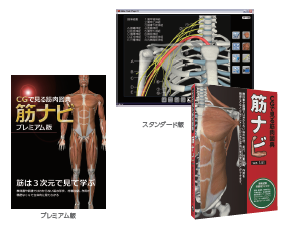 3DCG機能解剖学ソフトウェア