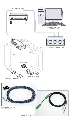 水中用関節角度・EMG計測システム