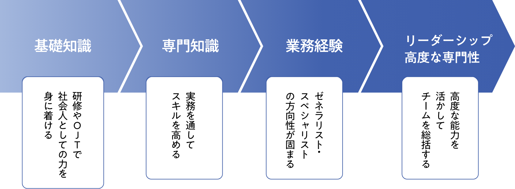 キャリアパス